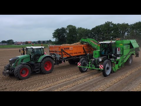 Loading Unions | AVR Puma 3 | Fendt 936 + Dezeure | Uien laden | Kuunders Deurne