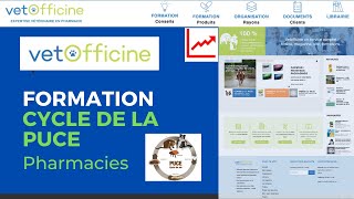 INFESTATION PAR LES PUCES : CONSEILS POUR LE TRAITEMENT DE L'ENVIRONNEMENT