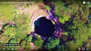 Cenote Selva Maya Visto Desde El Aire