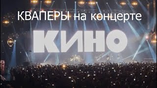 Кваперы на концерте КИНО. 14 мая 2021 года. ЦСКА Арена. Москва.