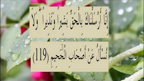 القران الكريم سورة البقرة الاية  119