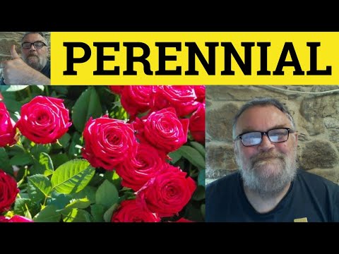 🔵 Perennial - Perennial Meaning - Perennial Examples - Perennial Definition - GRE Vocabulary