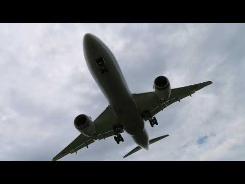 千里川土手。伊丹空港へ着陸。B787-8 Dreamliner。20230719。