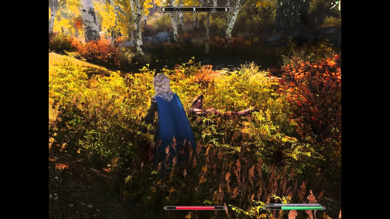 Skyrim - Project ENB - Climates of Tamriel - Woods Riften -121 Mods - HD