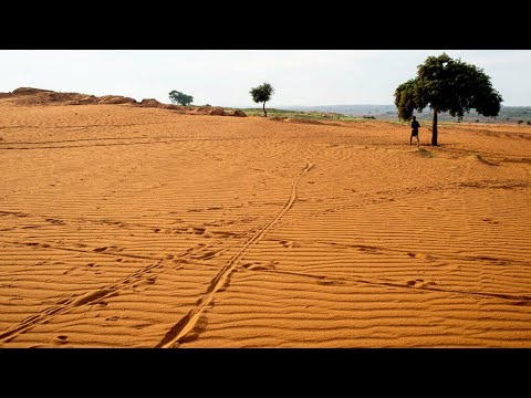 Madagascar : la sécheresse provoque une grave crise alimentaire