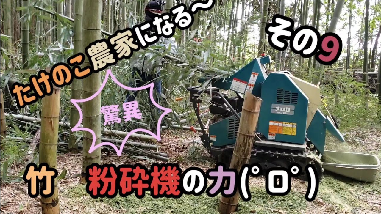 たけのこ9キロ 農業系】竹粉砕機の驚異の威力！！！たけのこ農家になる～ その9 - YouTube