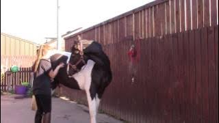 EDL Massage techniques video 3