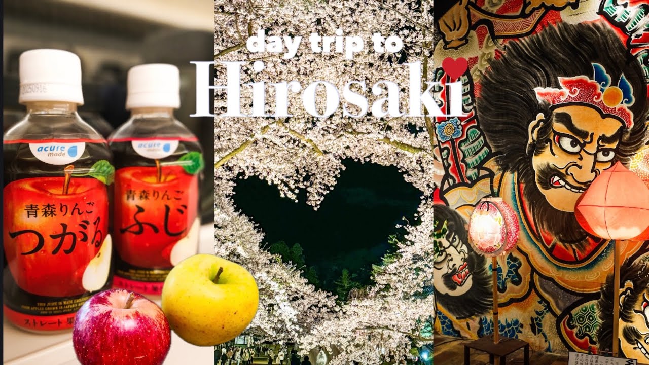 🌸🍎Hirosaki, Aomori vlog/sakura/cherry blossom festival/spring/Japan travel/apple/cafe/garden/izakaya
