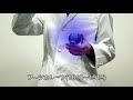 ニセ淫夢語録集 (物理)