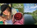 SUMMER DIARIES: поездка в деревню // ежедневная рутина, прогулки, поездки на природу || village vlog