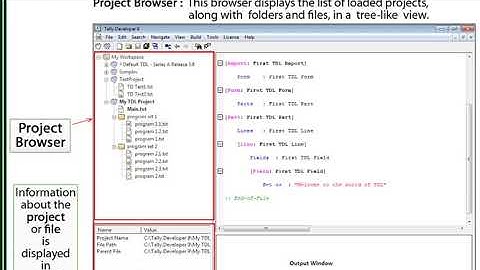 Introduction to Tally Developer 9