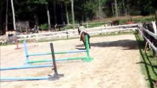 Katie and Rio jumping 2 foot course! (RAWS)