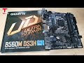 B560M DS3H Ultra Durable Gigabyte Motherboard with Direct 6+2 Phases Digital VRM | Tech Land