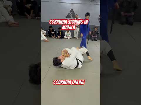 Cobrinha Sparring in Manila | COBRINHA ONLINE #jiujitsu #grappling #mma #nogi