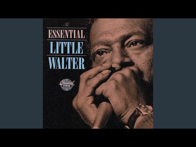 Little Walter - It's Too Late Brother