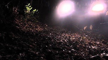 #geNOcide (promo) WE KILL YOU ALL..