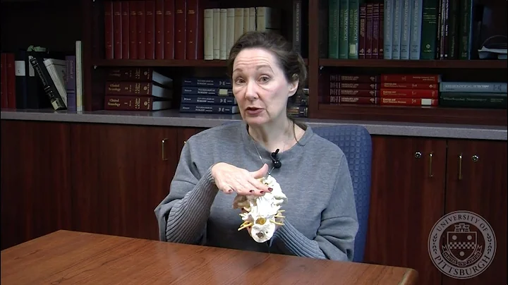 Post-Operative TLIF Instructions