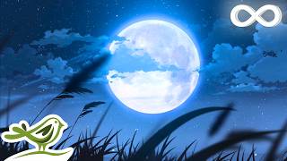 Enchanted Forest: Relaxing Fantasy Music for Sleep, Reading or Relaxation