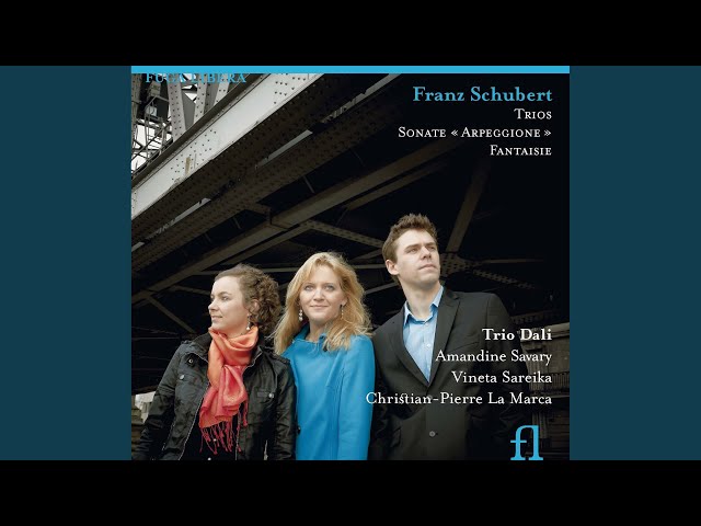 Schubert - Sonate "Arpeggione":Finale : Christian-Pierre La Marca / Amandine Savary