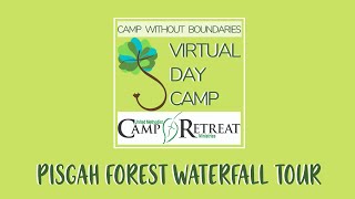 Pisgah Forest Waterfall Tour