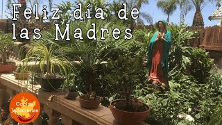 Feliz Día de Las Madres 2022 I Cocina Jalisciense
