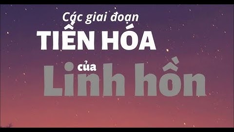 Các giai đoạn của tiến hóa hóa học năm 2024