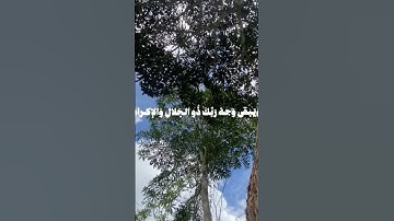 جزء 3 | اكتب شيء تؤجر عليه 🤍 القارئ ياسر الدوسري سورة الرحمٰن #قران #quran