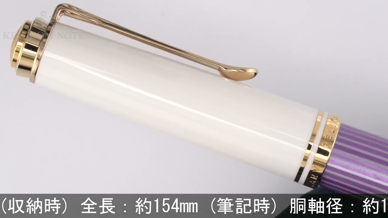 Pelikan ペリカン 万年筆 スペシャルエディション スーベレーン M600 