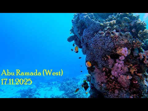 Diving Abu Ramada (West)