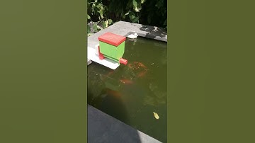 3D printed fish feeder