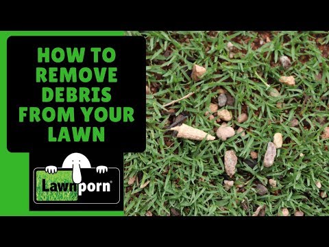 How to Remove Debris from your Lawn