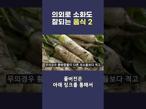 소화가 잘 안된다고 했는데, 잘된다는 음식이 있다?