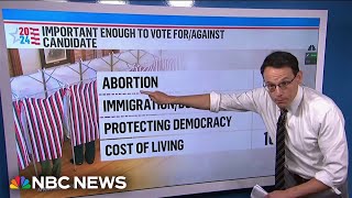 Steve Kornacki: Biggest obstacle for Harris may be President Biden