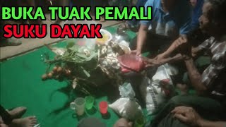 BUKA TUAK PEMALI SUKU DAYAK