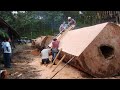 Dangerous Fastest Sawmill Wood Felling Cutting Down - Heavy Wood Cutting Machine Modern Chainsaw