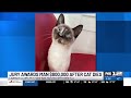 Oregon man awarded $800,000 after cat died from bird flu in pet food