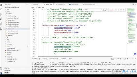 Apache Tomcat 系统精讲 Java面试必备课程（已完结）