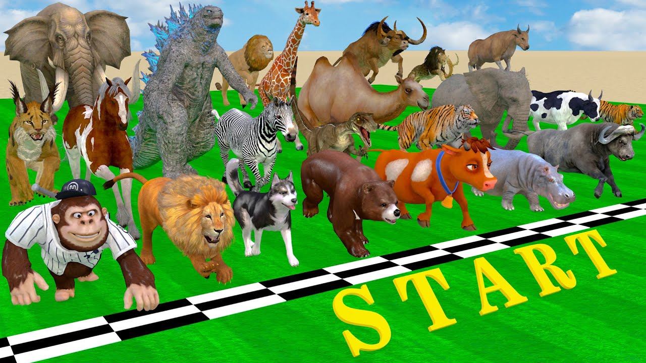 49 Incredible Animals Race vs Dinosaurs vs Prehistoric Mammals Speed Race Run: Who Will Win? ARBS #1