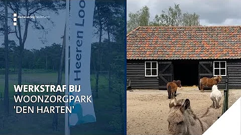 Werkstraf in Beeld #4 - 'S Heerenloo Wekerom