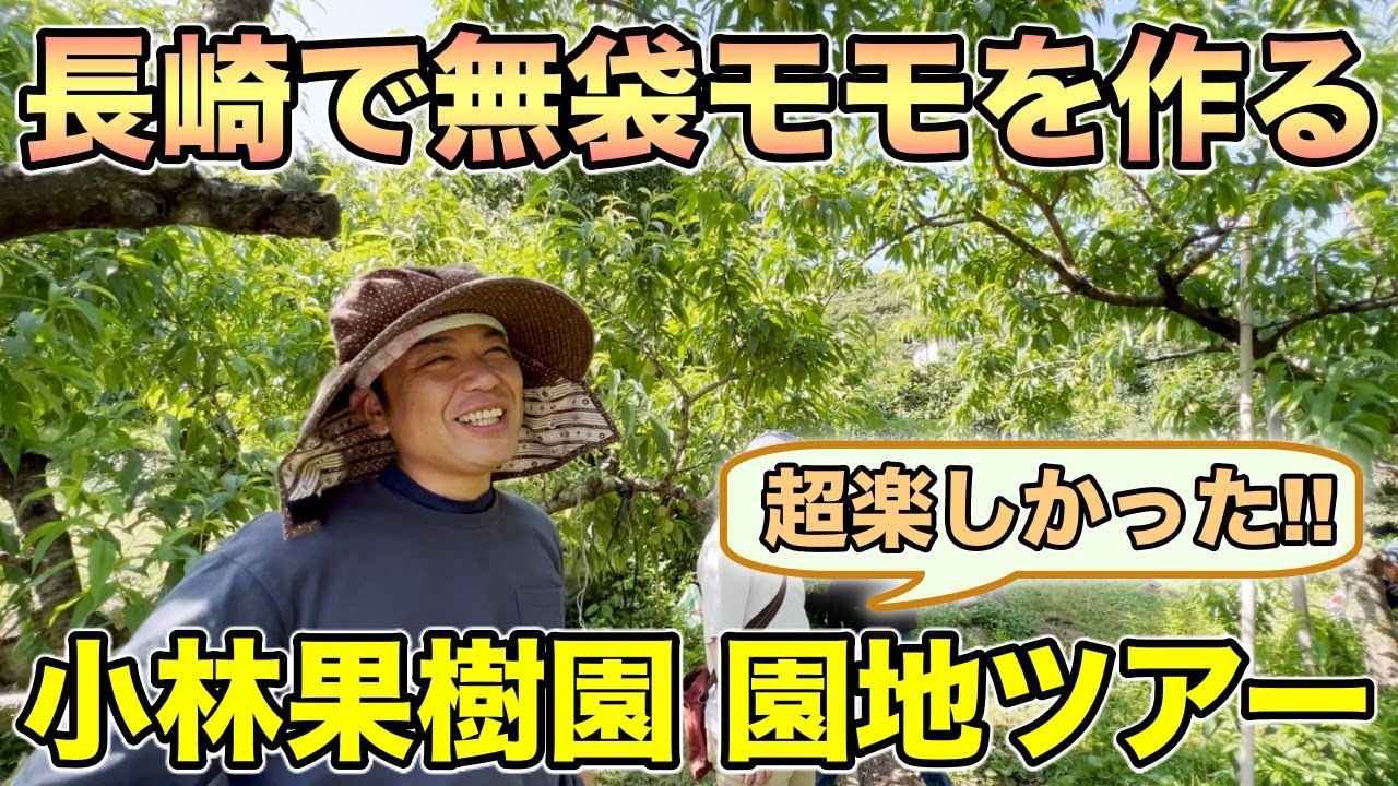 【楽しい】長崎県で無袋モモを作る！小林果樹園の園地ツアー！！超楽しかった！【長崎県 小林果樹園 小林康二さん2】