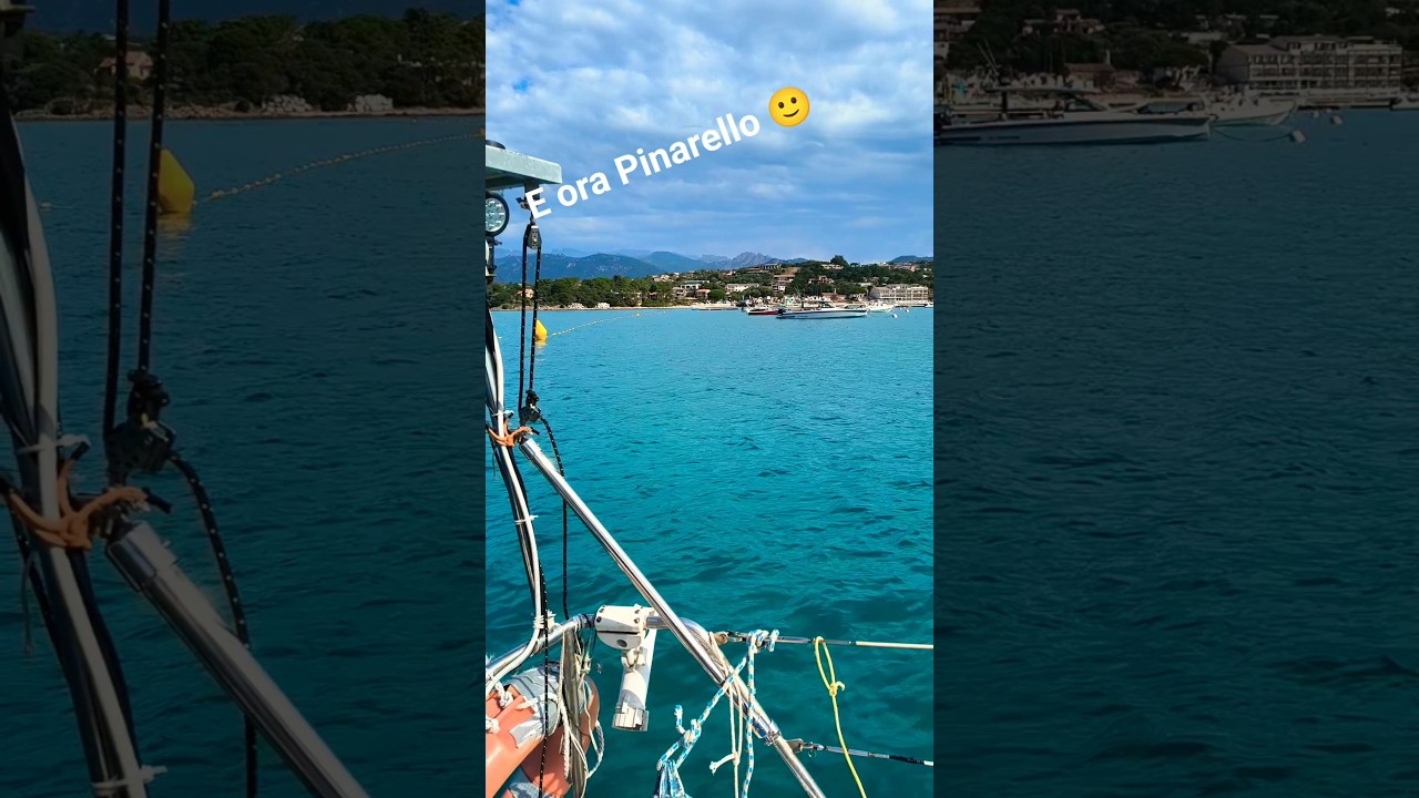 ⁣oggi da San Cipriano a Pinarello #mare #seguimi #travel #sailing #viaggio #beach #estate #vacanze