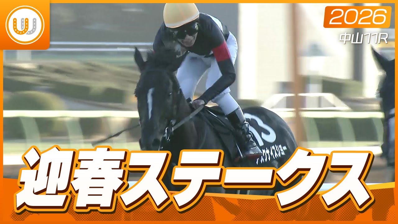 【レース映像】中山11R 迎春ステークス｜アスクナイスショー（田辺裕信）｜ウイニング競馬