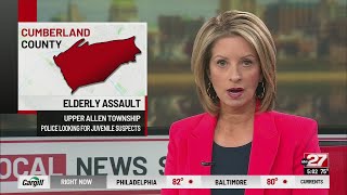 Upper Allen Township police looking for juveniles who hit elderly woman with rock