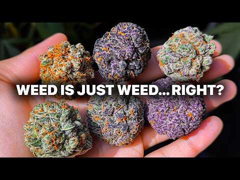 The Cannabis Strain Guide Your Doctor Didn't Give You
