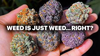 The Cannabis Strain Guide Your Doctor Didn't Give You