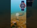 The Only Dive Watch USED to Scuba Dive