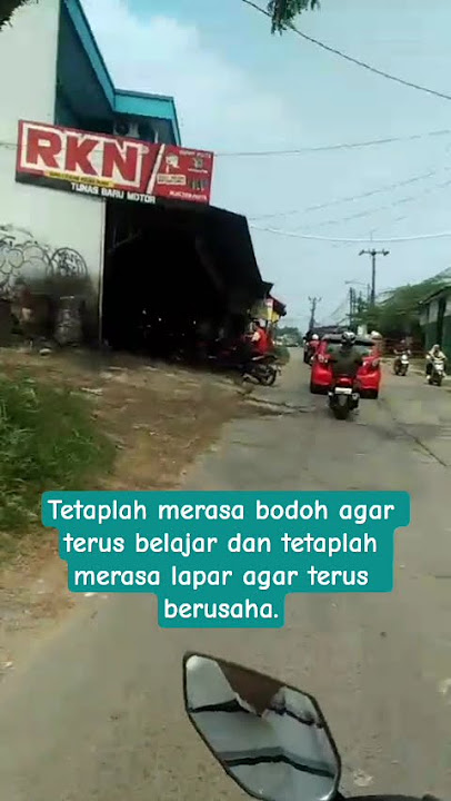 Tetaplah merasa bodoh agar terus belajar