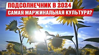 Рынок подсолнечника 2024 | Самая маржинальная культура? | Гибриды подсолнечника | Лимагрен