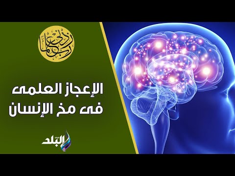إعجاز جبار كلام هتسمعه لأول مرة من الدكتور حسام موافي عن الإعجاز العلمى فى مخ الإنسان