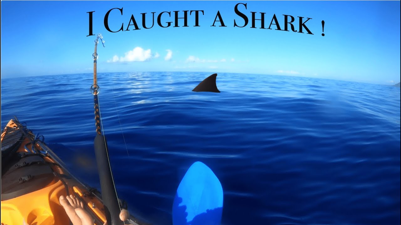 I caught a Shark! First Time Kayak Fishing / Hawaii lifestyle Vlog YouTube
